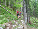 Und weiter gings Richtung Feuerkogelplateau. In unzähligen Serpentinen bergwärts, bis wir ...