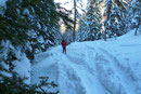 Das freie und sonnige Gelände der Goseritzalm hinter uns gelassen, tauchten wir erneut in das schattige steile Waldstück ein und …