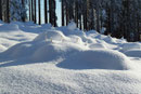 Wie kleine Antennen ragten die Wipfel der Jungbäume aus den Wogen des Schneemeeres. Einfach herrlich!