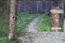 Ein links wegführender, moderat ansteigender Wanderweg ersparte uns weitere Kehren der sich nach oben schlängelnde Schotterstraße.