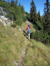 ... und schon waren wir am Bergkamm des Reiting Massivs angekommen. Von nun an gings mal auf mal ab einen steinigen Wandersteig durch unzählige Latschen hindurch entlang Richtung Kahlwandspitze.