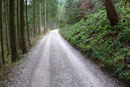 So ein „Straßenhatscha“ ist zwar nicht unbedingt ein Highlight, aber wer diesen Gipfel als erobert abhaken möchte, kommt nicht darüber hinweg. Was soll’s – auffi geht’s!