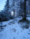 Und schon ging es weiter und weiter über den schneebedeckten Steig nach oben.
