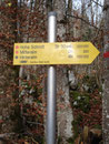 Der Wegweiser bei dieser ersten Gabelung verkürzte die bevorstehnde Aufstiegszeit um eine halbe Stunde. Hohe Schrott 3 Std. 30 Min.