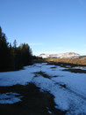 Weiter führte der Weg zuerst ein Stück durch den Wald und anschließend entlang des Waldrandes. Schneefelder waren an schattigen Stellen keine Seltenheit.