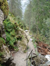 Dem Weg weiter folgend, ...
