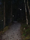 Es regnete unaufhörlich weiter, jedoch war von Abruch keine Rede und ich folgte weiter dem Wegverlauf.