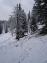 Den angezuckerten Hang querend, wieder vorbei an der Weierbaueralm ...
