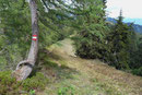Nach einer weiteren kurzen Gipfelrast wanderten wir entlang des Kammes weiter nach Osten und …