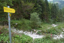 … der 889 ÖAV-Wanderweg schlussendlich in ein Steiglein überging und eine kleine ausgetrocknete Schuttrinne querte.