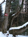 … der Markierung …