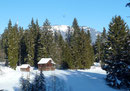 Vorbei an einem Steinbruch erreichten wir in Kürze die winterstill daliegende große Weidefläche der Steinitzenalm (1000m). Nur zwei Ballone schwebten über sie hinweg.