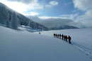 Mal zusammen, mal in einzelnen Gruppen marschierten Rudolf und ich sowie die anderen Teilnehmer durch das riesige Hochplateau der Postalm.