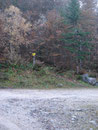 Kurz nach der Jagdhütte ging der Steig 220 rechts wieder in den Wald. 2,5 Std. bis zum Ziel.