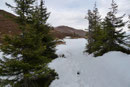 … jedoch für ein unbeschwertes Vorankommen nicht nennenswert hinderlich war. Auf ca. 1800m Seehöhe ließ ich die Baumgrenze hinter mir, erreichte den Enzianboden und es eröffnete sich mir der erste Blick auf den Zeiritzkampel-Gipfel. 