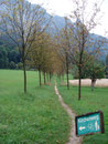 Durch die Allee des Kirchenwegs erreichte ich in wenigen Minuten …
