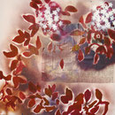 © Nathalie Arun, bilderserie japan, sakura 12