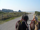 Am Meer!