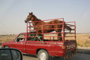 Transport in Qatar