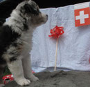A Swiss Fotoshooting