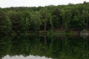 Eiche am kleinen Lienewitzsee bei Michendorf