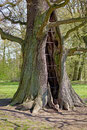 Hohle Eiche Jenischpark