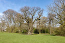 Hohle Eiche Jenischpark