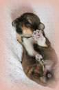 11 Tage alt!