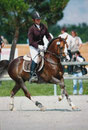 Pidji - Lamotte Beuvron