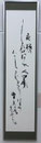 会員　三好 初生