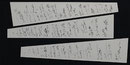 【常任理事】平尾 由紀子