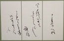 【副理事長】伊藤 泰子