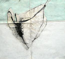 30x30 cm