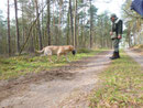 Frei Verlorensuche im Wald