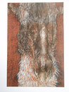 Tête de cheval, 1971 (pastel sur papier, 70 x 50 cm, coll. part. GMG)