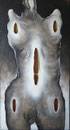 Le lit de la mort, 1974 (huile sur toile, 190 x 102 cm. coll. part. GR)