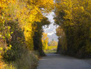 Herbststimmung am Nussberg