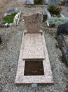 Rosa Porino CHF 3'000.-