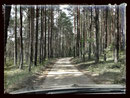 Auf dem Weg zum Imkerei-Museum bei Stripeikiai.