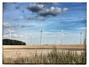 Windräder bei Treplin / Boßen (Frankfurt (Oder))
