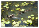 Familien-Ausflug...