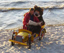 Am Strand von Palanga...
