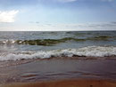 Am sehr flach abfallenden Strand von Palanga... 