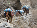 Colca Canyon