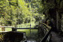 Rappenlochschlucht - 16.Juli 2014 - 11