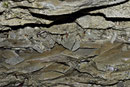 Rappenlochschlucht - 176.Juli 2014 - 25