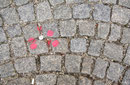 1010 Wien - Schottenstift