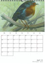 Tierkalender der Berkenthiner Montagsmaler 2013 - April