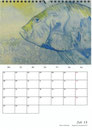 Tierkalender der Berkenthiner Montagsmaler 2013 - Juli