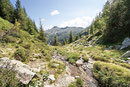 Vicino al Mot della Cros